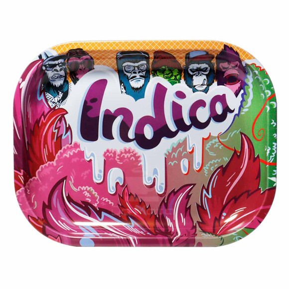 Bandeja de Metal Indica