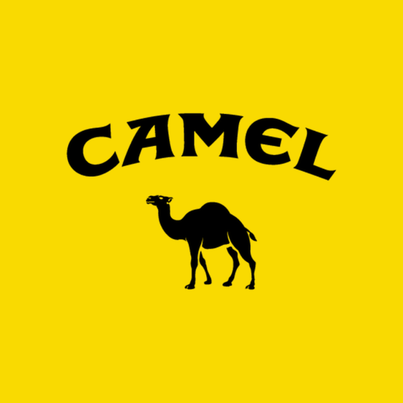 Bag de Camel Golden 30g