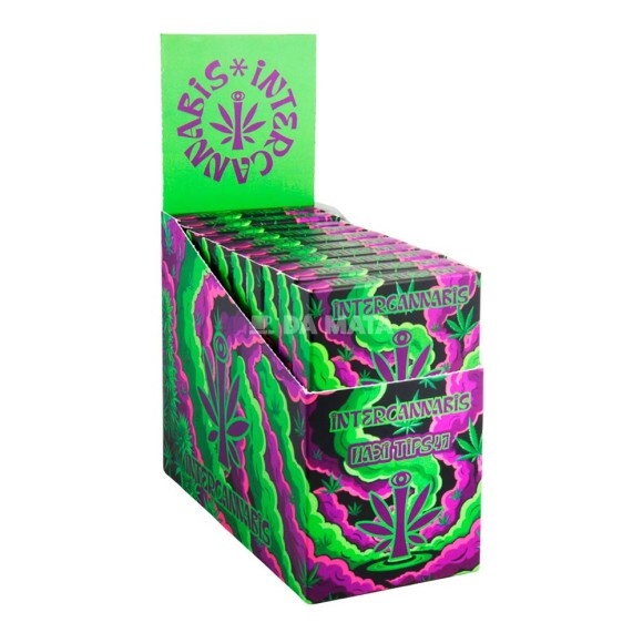 Caixa de Piteira longa Black Trunk x Intercannabis tabacaria da mata 