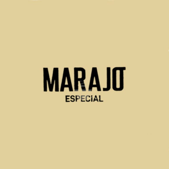 Logo do Marajó Especial