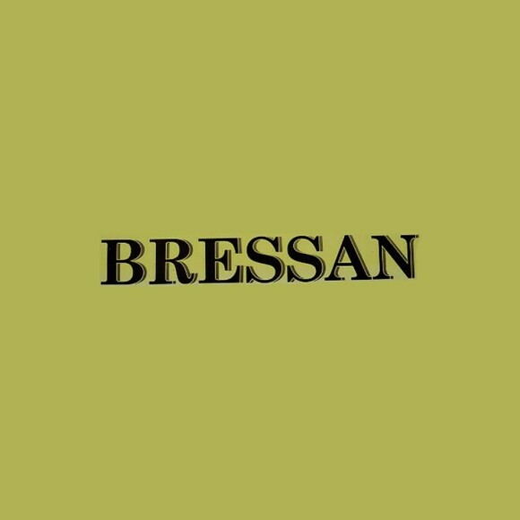 Logo da Bressan 