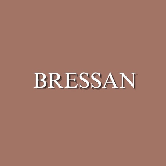 Logo da Bressan 