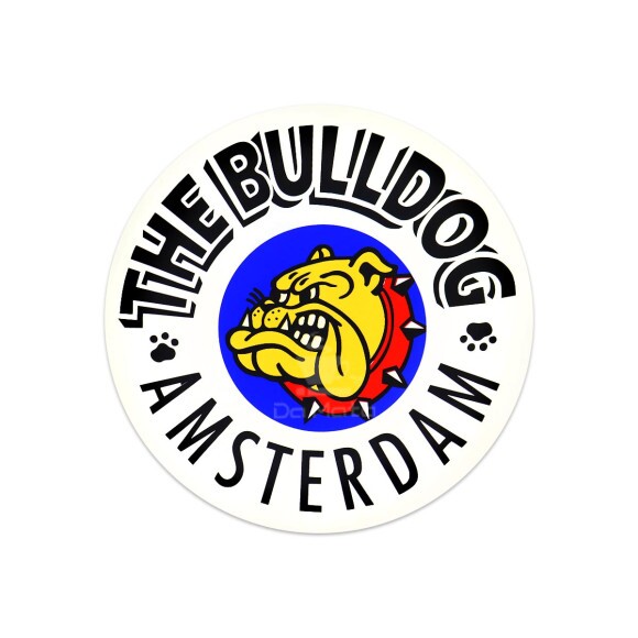 Luminoso The Bulldog