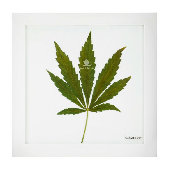 Quadro Folha In Natura de frente