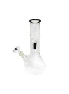 Bong de Vidro Da Mata - Araucária