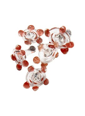 Pack de Glass Screen Squadafum