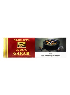 Caixa de Gudang Garam Professional Importado