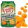 Canada Dry Ginger Ale and Orangeade