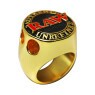 Anel de Ouro Raw Championship Ring c/ Suportes Médios Size