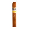 Charuto Cohiba Robusto de frente