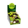 Caixa Choco Hemp Super Lemon Haze