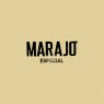 Logo do Marajó Especial
