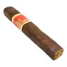 Perceverancia Robusto Quadrado Maduro