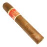Perceverancia Robusto 