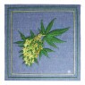 Quadro Bordado Weed