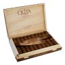 Oliva Serie V Melanio Robusto