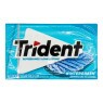 Chiclete Importado Trident Wintergreen