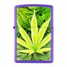 Isqueiro Zippo Cannabis Purple Matte 49790 de frente