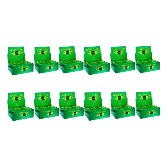 Display-Pack-12caixas-Carvao-Eco-BaliHai.jpg
