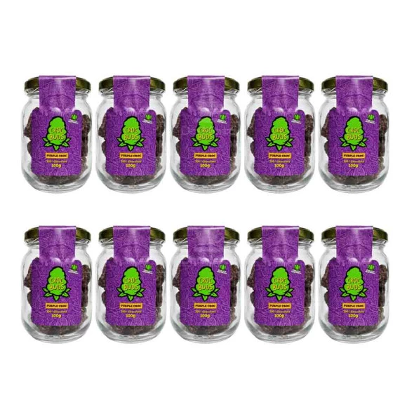  Diversas unidades de Croc Buds, Purple Croc