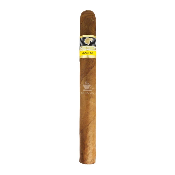 Charuto Cohiba Esplêndidos  de frente