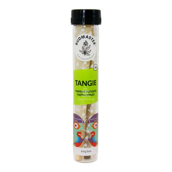 Cone Budmaster Tangie