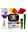 Kit Experiente