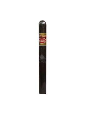 Titan Black