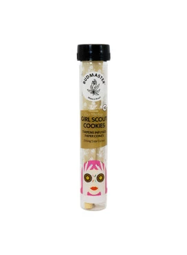 Cone Budmaster Girl Scout Cookies