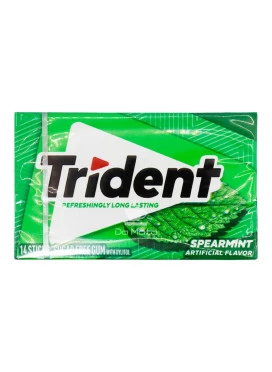 Chiclete Importado Trident Spearmint