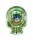 Cinzeiro de Vidro Caveira Premium