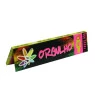 Seda Sadhu Orgulho LGBTQI+ King Size Large