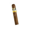 Cohiba Robusto