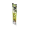 Blunt Wrap White Grape