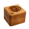 Case Wood Burning Lion