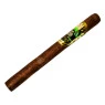 Grand Amazônia Cervantes