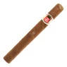 Hoyo De Monterrey Palmas Extras
