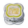 Dichavador Pequeno Kings Planta e Raiz