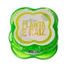 Dichavador Kings Pequeno collab Planta Raiz