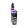 Caixa de Blunt Lion Rolling Circus Grape
