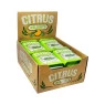 Caixa de Pastilha Importada Citrus Key Lime 30g