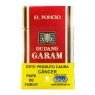 Gudang Garam Professional de frente