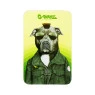 Mini Lata G-Rollz Pets Rock Grande verde