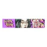 Seda Lion Rolling Circus Brasil Edition King Size c/ Piteira roxo