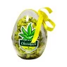 Ovo de Chocolate ChocoKush Tangie Kush 150g