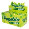 Caixa de Piteira Papelito Biodegradável Large 