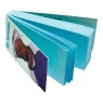 Piteira G-Rollz Pets Rock Large Blue