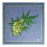 Quadro Bordado Weed