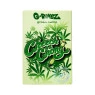 Seda com Piteiras G-Rollz 1 1/4 Hemp