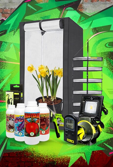 Conhe&ccedil;a o nosso height=